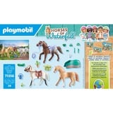 PLAYMOBIL 71356 