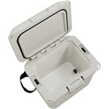 Coleman PRO 25QT beige