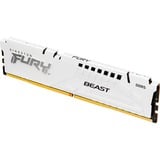 Kingston FURY KF564C32BW-32 bianco