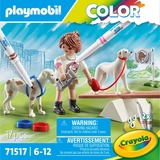 PLAYMOBIL 71517 