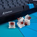 Sharkoon Gateron Pro 3.0 Brown Switch-Set marrone/trasparente