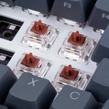 Sharkoon Gateron Pro 3.0 Brown Switch-Set marrone/trasparente