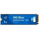 WD WDS100T4B0E blu