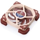 Noctua NV-MPP1.brown marrone