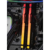 ALTERNATE AGP-WINDOW-AMD-005 Nero