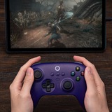 8BitDo RET00417 viola