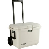 Coleman PRO 55QT beige