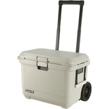 Coleman PRO 55QT beige