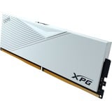 ADATA AX5U6400C3216G-CLAWH bianco