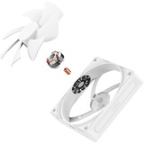 NZXT F120P bianco