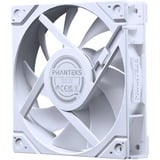 Phanteks PH-F120M25R_G2_DWT01_3P bianco