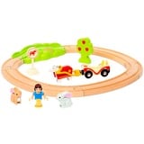 BRIO 63229900 