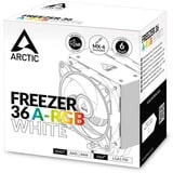 ARCTIC ACFRE00125A bianco