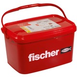 fischer SX Plus 10x50, 567900 grigio chiaro