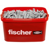 fischer SX Plus 10x50, 567900 grigio chiaro