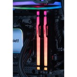 ALTERNATE AGP-WINDOW-AMD-006 Nero