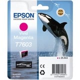 Epson C13T76034N10 