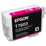 Epson C13T76034N10 