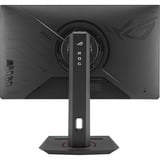 ASUS XG259CMS Nero