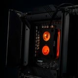 Thermal Grizzly TG-MY-DD-P-RGB-i-V1 Nero/trasparente