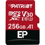 Patriot PEF256GEP31MCX memoria flash 256 GB MicroSDXC Classe 10 rosso/Nero, 256 GB, MicroSDXC, Classe 10, 100 MB/s, 80 MB/s, Class 3 (U3)