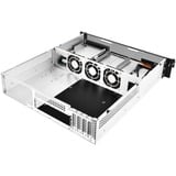 SilverStone RM21-304 Supporto Bianco Nero, Supporto, Server, Bianco, micro ATX, Mini-ITX, Metallo, 2U