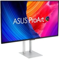 ASUS PA32UCDM argento