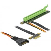 DeLOCK 85762 scheda di interfaccia e adattatore Interno PCIe PCIe, PCIe, Nero, Verde, 0,3 m, 1 pz