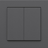 Senic Friends of Hue Smart Switch, Pulsante antracite