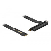 DeLOCK 64133 scheda di interfaccia e adattatore Interno PCIe Nero, M.2, PCIe, Nero, 0,2 m, Cina, SATA